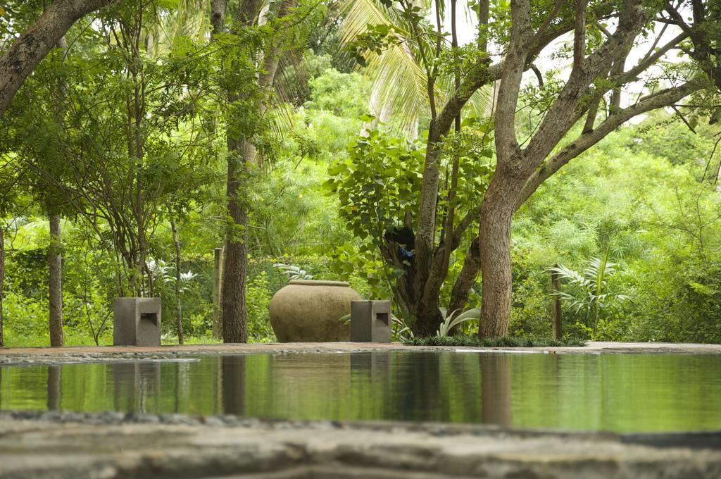 Lagoon House Rekawa Tangalle Exteriér fotografie