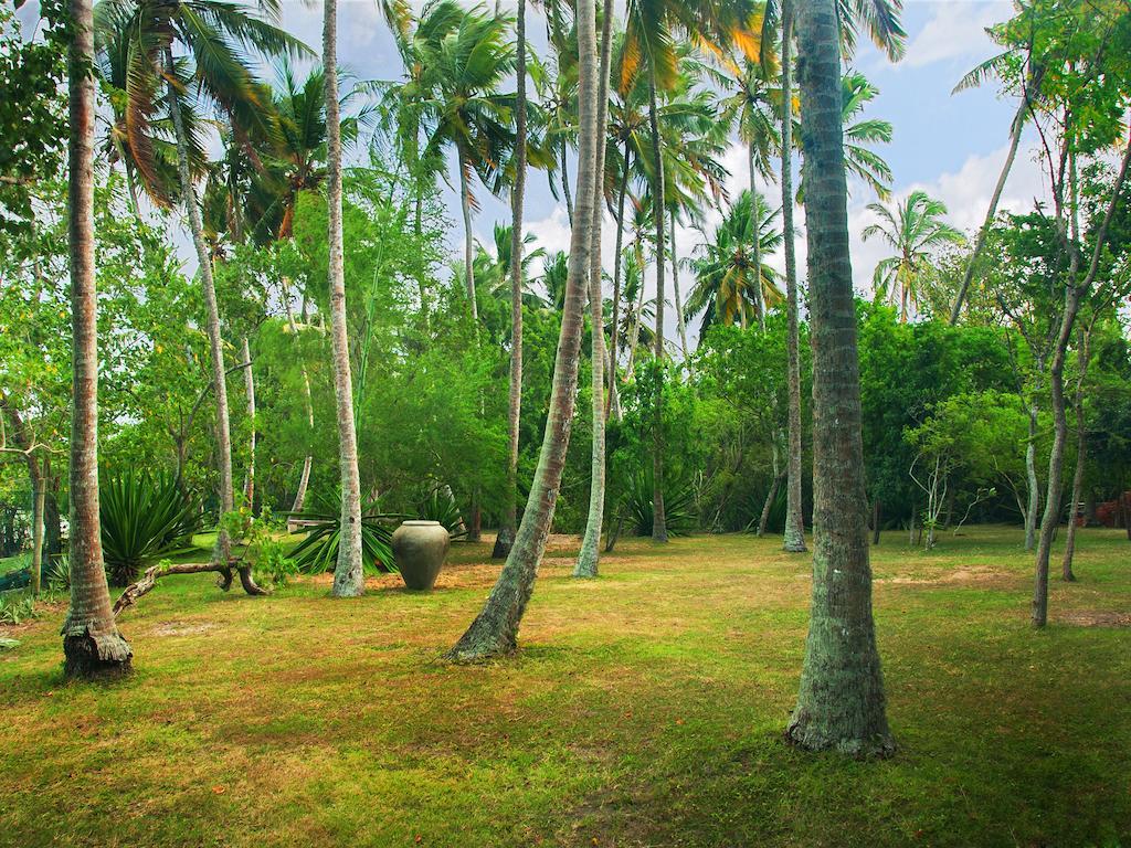 Lagoon House Rekawa Tangalle Exteriér fotografie